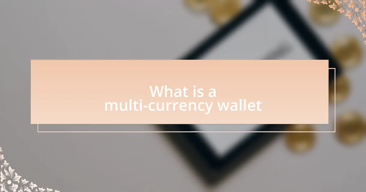 What is a multi-currency wallet